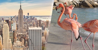New York et Aruba New York et Aruba