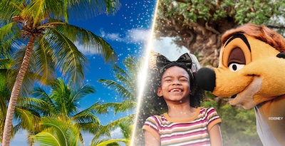 Walt Disney World Orlando et Punta Cana Walt Disney World Orlando et Punta Cana