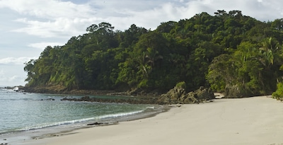 Tortuguero, Arenal, Monteverde et Manuel Antonio Tortuguero, Arenal, Monteverde et Manuel Antonio