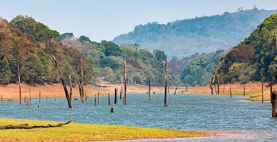 Sud de l'Inde et Lac Periyar Sud de l'Inde et Lac Periyar