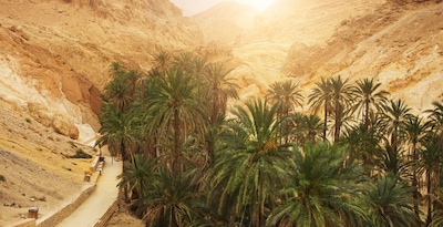 Route entre Oasis, Mer et Dunes Route entre Oasis, Mer et Dunes
