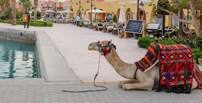 Caire, Croisière 4 nuits et Hurghada Caire, Croisière 4 nuits et Hurghada
