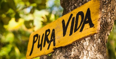 Route Pura Vida Route Pura Vida