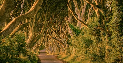 Route « Game of Thrones » par l’Île Émeraude Route « Game of Thrones » par l’Île Émeraude