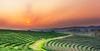 Bangkok, Chiang Rai, Chiang Mai et Maldives Bangkok, Chiang Rai, Chiang Mai et Maldives