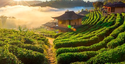 Nord de la Thaïlande avec Mae Hong Son et Maldives Nord de la Thaïlande avec Mae Hong Son et Maldives