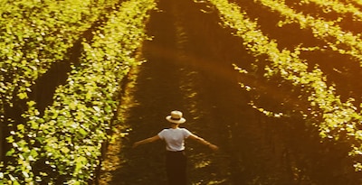 Route entre vignes et modernisme en Catalogne Route entre vignes et modernisme en Catalogne