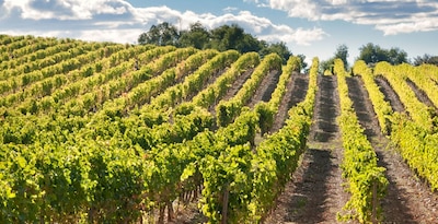 Grande route entre vignes et modernisme en Catalogne Grande route entre vignes et modernisme en Catalogne