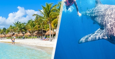 Cancún et Holbox Cancún et Holbox
