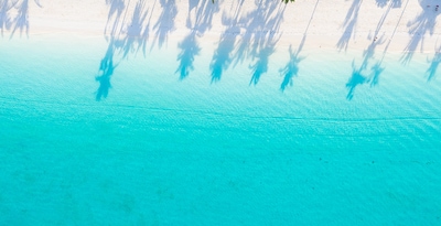Abu Dhabi et Zanzibar Abu Dhabi et Zanzibar