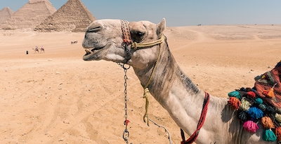 Le Caire, croisière de 3 nuits et Hurghada Le Caire, croisière de 3 nuits et Hurghada