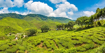 Route des Cameron Highlands à Malacca Route des Cameron Highlands à Malacca