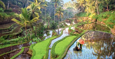 Circuit Essentiel - Bali, l'île enchantée Circuit Essentiel - Bali, l'île enchantée