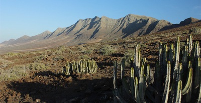 Circuit Fuerteventura entre océan et terres sauvages - logement au Jumbo Bakour Fuerteventura La Pared *** Circuit Fuerteventura entre océan et terres sauvages - logement au Jumbo Bakour Fuerteventura La Pared ***