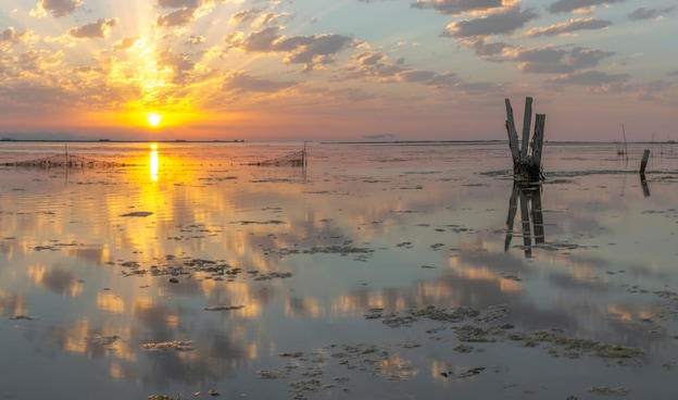 Voyager en Catalogne au meilleur prix : vols, hôtels, forfaits, location de voiture... Terres de l’Ebre: Terres de l’Ebre