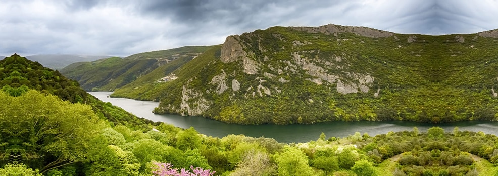 Veria
