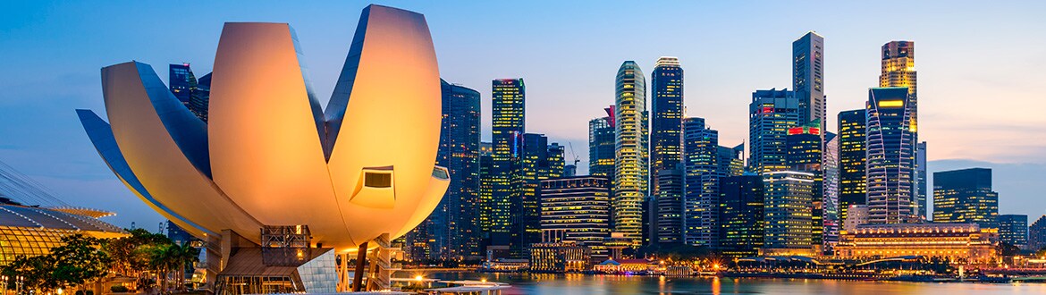 Singapour Et Indonésie 9 Jours