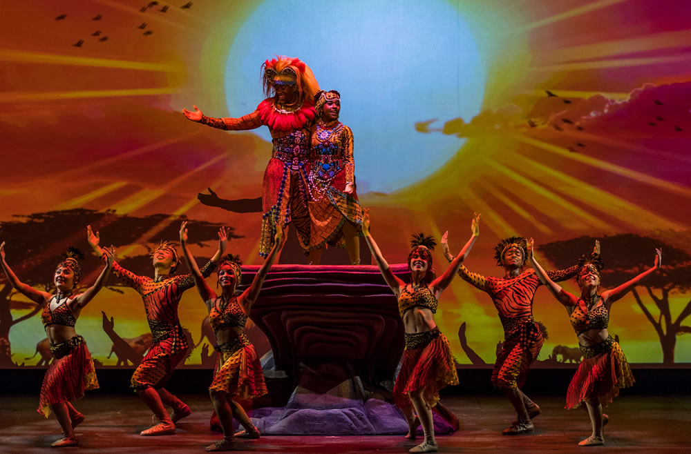 Photo Disney Wonder14