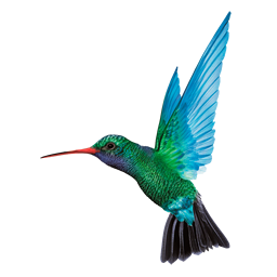 Vols de CARIBBEAN AIRLINES