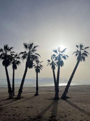 Gallery - Agh Canet Hotel