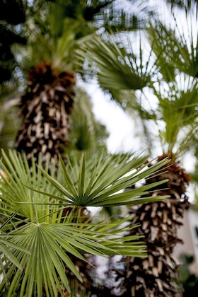 Gallery - Hotel Bersoca