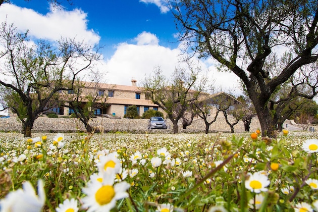 Gallery - Hotel Alahuar