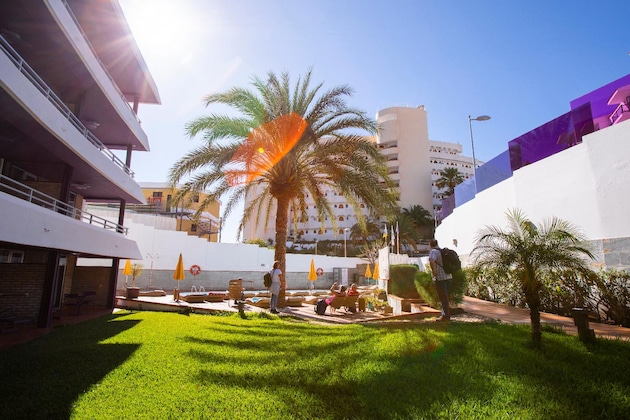 Gallery - Jacarandas Beach