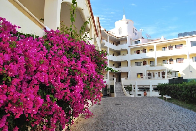 Gallery - Apartamentos Olhos Do Mar