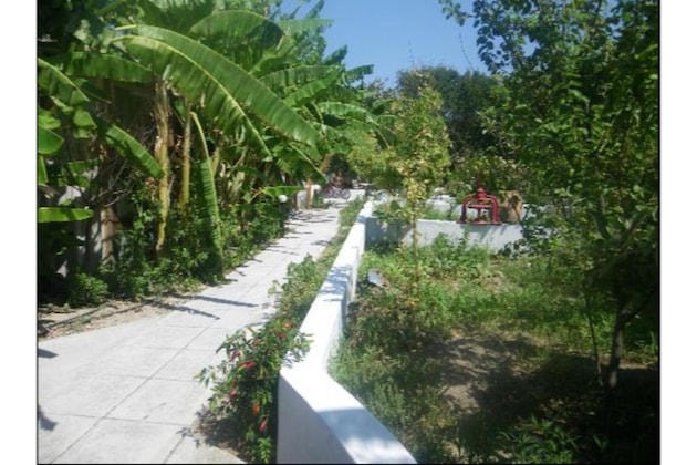 Gallery - Chronis Hotel Bungalows