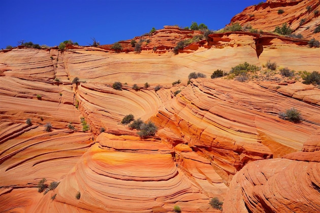 Gallery - Best Western View Of Lake Powell Hotel