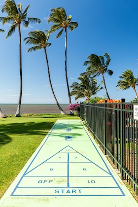 Gallery - Molokai Shores