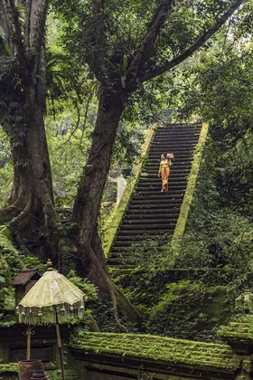 Gallery - Amandari