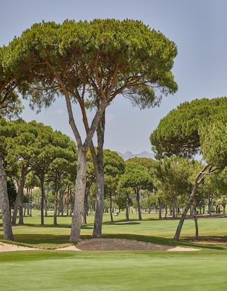 Gallery - Rio Real Golf & Hotel