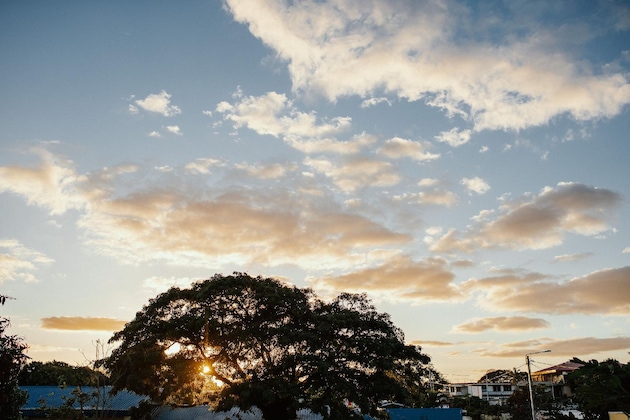 Gallery - Kaiviti Motel