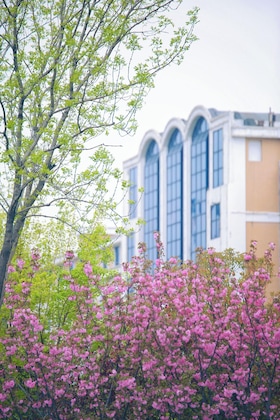 Gallery - Crowne Plaza Zhengzhou By Ihg