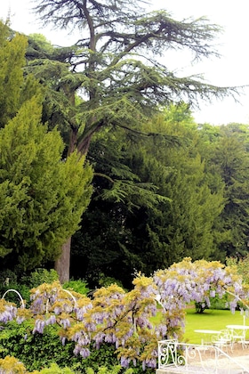 Gallery - Le Choiseul