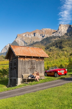 Gallery - Swiss Heidi Hotel