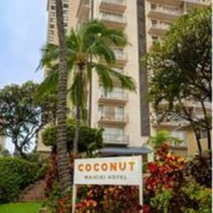 Gallery - Coconut Waikiki Hotel