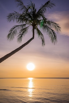 Gallery - Samui Paradise Chaweng Beach Resort & Spa