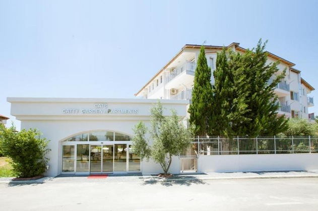 Gallery - Catty Cats Garden Hotel
