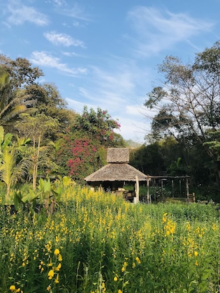 Gallery - Fern Resort