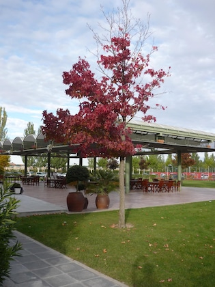 Gallery - Hotel Lasa Sport