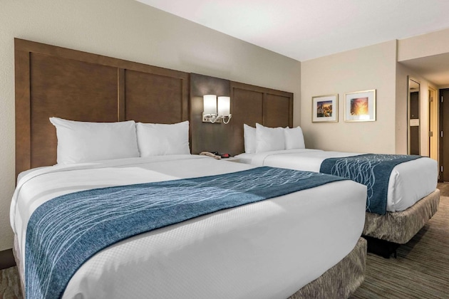 Gallery - Comfort Inn & Suites Downtown Brickell-Port Of Miami