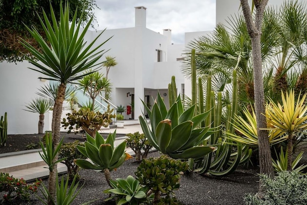 Gallery - Hotel Lanzarote Village
