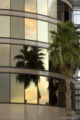 Gallery - The Westshore Grand, A Tribute Portfolio Hotel, Tampa