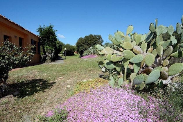 Gallery - Residence Baia Salinedda