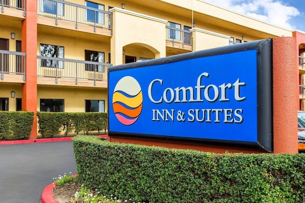 Gallery - Comfort Inn & Suites San Francisco Airport North