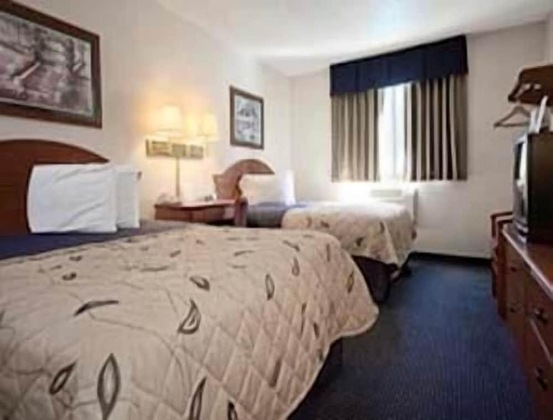 Gallery - Super 8 By Wyndham Gainesville