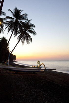 Gallery - The Damai