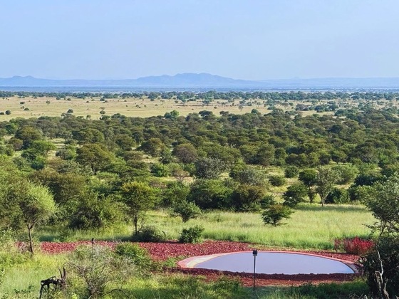 Gallery - Kirawira Serena Camp